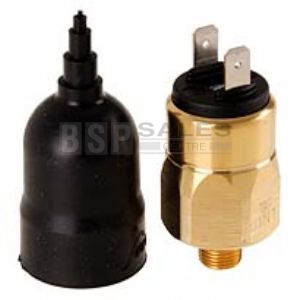 Bosch Pressure Switch w/ Spade Terminals 1/8