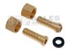 Brass Hosetails