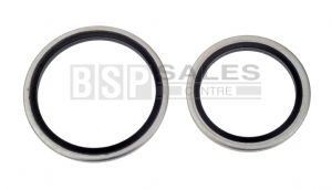 Cetop Bonded Seals For BSP Threads