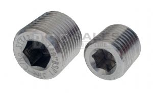 Stainless Steel Internal Hex Male BSP and NPT Plug