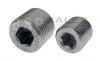 Adapters/Plugs - S/S Steel