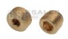 Brass Internal Hex Male Metric Blanking Plug