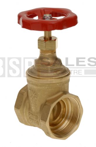 Brass Gate Valve 1/2