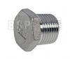 Hexagon Blanking Plug 1/8 - 4 BSPT 316 St/Steel